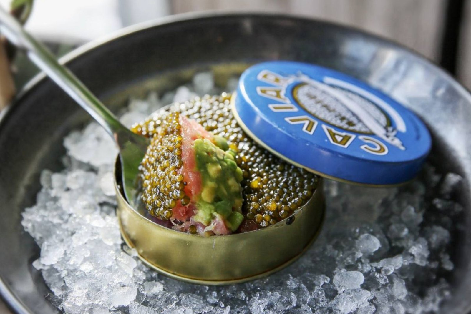 Not Only Fish in Kyiv